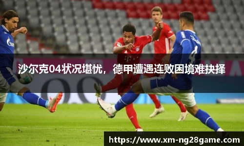 南宫NG28